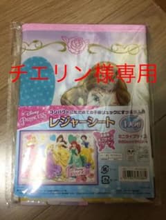 ディズニー プリンセス レジャーシート ピクニックシートのサムネイル