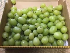 岡山県産　シャインマスカット　粒　減農薬のサムネイル