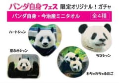 シャンシャン　今治ミニタオル　パンダ自身のサムネイル