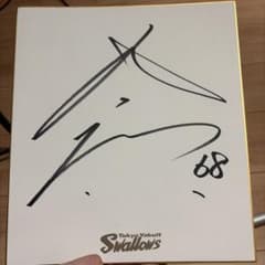 東京ヤクルトスワローズ 選手直筆サイン入り色紙 丸山翔大 68 - メルカリ