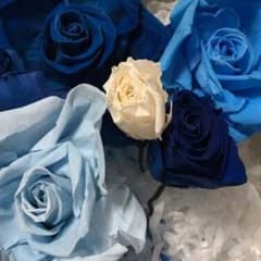 専用のサムネイル