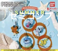 PEANUTS めじるしアクセサリー SUMMER 4種セットのサムネイル