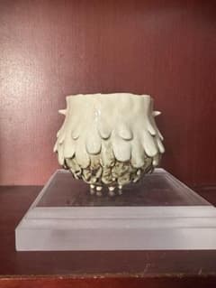 村田ドロロウ 作家鉢 白モコ牛鬼鉢 コーデックス 多肉植物 - メルカリ