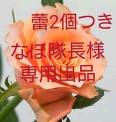 なほ隊長様専用出品のサムネイル