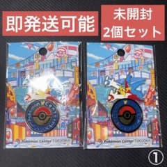 新品未開封 ポケモンセンターフクオカ限定 福岡 ロゴピンズ 2個セット