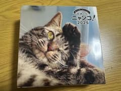 日めくりニャンコ！2025 カレンダーのサムネイル