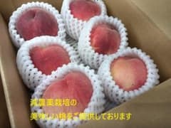 なすまり様専用　桃農家直送　あかつき　２キロ　山梨県笛吹市産　減農薬栽培のサムネイル