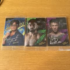 RIZIN トレーディングカード 3枚セットのサムネイル
