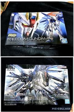 【まとめ売り⭐️】RG フリーダムガンダム HG ライジングフリーダムガンダム