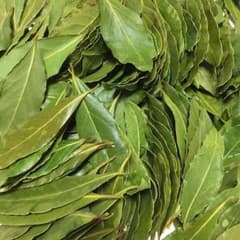 乾燥ローリエ（月桂樹）の葉✧50枚入り！料理やお茶にのサムネイル