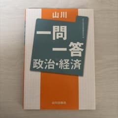 야마가와 일문일답 정치·경제
