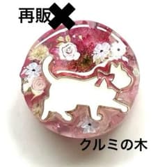 新作☆レジンヘアゴム 白猫♡春うらら - メルカリ