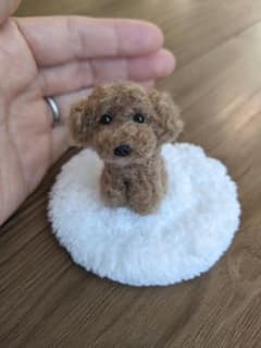 手乗りわんこ　トイプードル　全身　マット付きのサムネイル