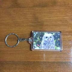 オリジナルふくろうキーホルダーのサムネイル