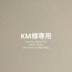 KM様専用のサムネイル