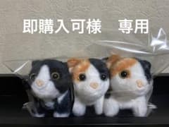リアルアニマル　子猫おすわり　プチマスコット　３個セットのサムネイル