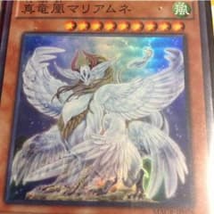 真竜凰マリアムネのサムネイル