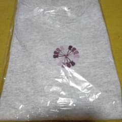 佐野元春15thアニバーサリー Tシャツ グレー Mサイズ（新品未使用）のサムネイル
