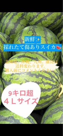 《長野県産》売りつくし訳ありスイカ4Lのサムネイル
