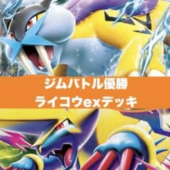 【格安】ジムバトル優勝 ライコウex メガライボルトex デッキ【まとめ買い】