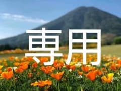 Ange-aile 長財布 金色のサムネイル