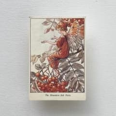 森永 ハイクラウン チョコレート ❤️ フラワー フェアリー カード #43