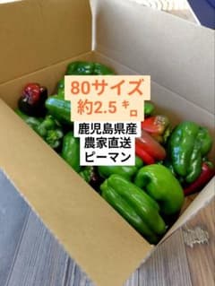 畑直送！鹿児島県産ふぞろいピーマン（規格外品）緑、赤、混色80サイズ