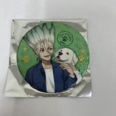 Dr.stone きらきら缶バッジwith dogs ver石神千空ジャンフェス - メルカリ
