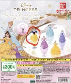 ディズニー プリンセス コスチュームぬしるしアクセサリー 白雪姫のサムネイル