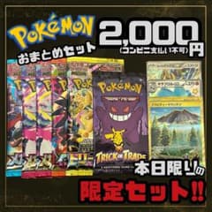 y*3様 【本日限定】ポケモンカード　10枚 本日限り】早い者勝ち 見えるポケカおまとめセット ポケモンカード