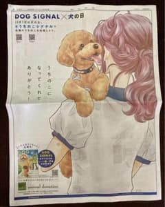 11/1 dog signalのサムネイル