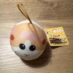 PUI PUI 몰카 마스코트 감자