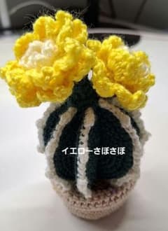 イエローさぼてん鉢付きのサムネイル