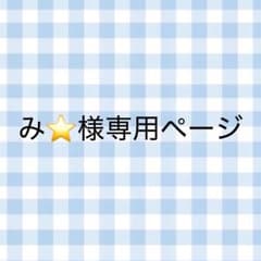 み⭐️様専用ページのサムネイル
