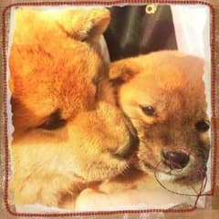 むにゃこ様専用のサムネイル