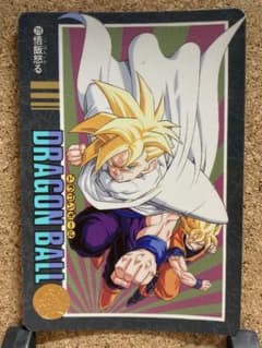 ドラゴンボール ビジュアルアドベンチャー 219 悟飯怒る - メルカリ
