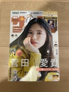 2025年週刊少年サンデー52号特別付録 灰原哀 プロモカード PR194
