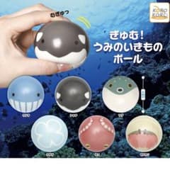 ぎゅむ！ うみのいきものボールのサムネイル