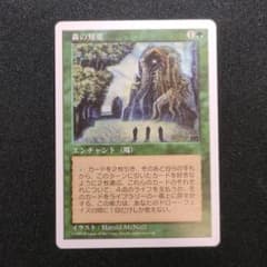 森の知恵 Sylvan Library MTG 日本語 4ED - メルカリ