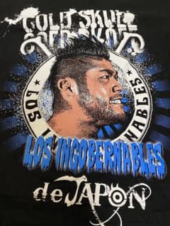 SANADAピクチャーTシャツのサムネイル