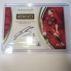 Adrien Silva 直筆サインカード 2017 Paniniのサムネイル