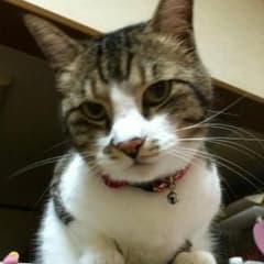 ちえちゃん様専用のサムネイル