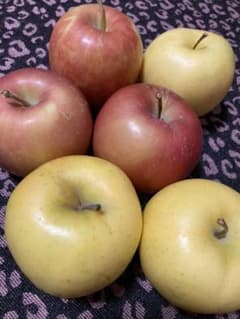 有機栽培＊石川県産 シナノゴールド、シナノスイートのサムネイル