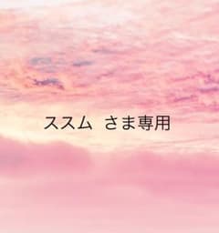 ススム  さま専用のサムネイル