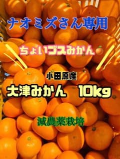 【ナオミズ様専用】小田原産大津みかん　15kg おまけ付きのサムネイル
