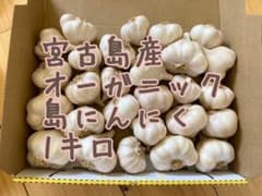 宮古島産　オーガニック  島ニンニク　1キロのサムネイル