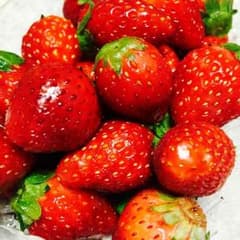 専用出品のサムネイル