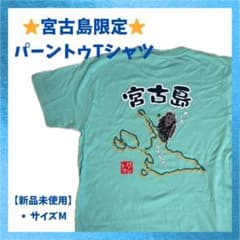 宮古島ロックフェス2016 Tシャツ | Mua sắm tại Mercari từ Nhật Bản