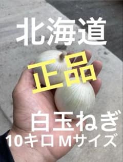 北海道産 正品 白玉ねぎ 10キロ Mサイズのサムネイル