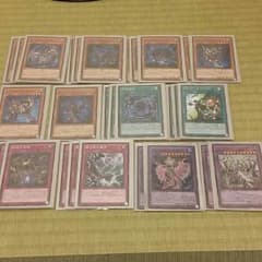 ポインポン6s様　シャドールのサムネイル
